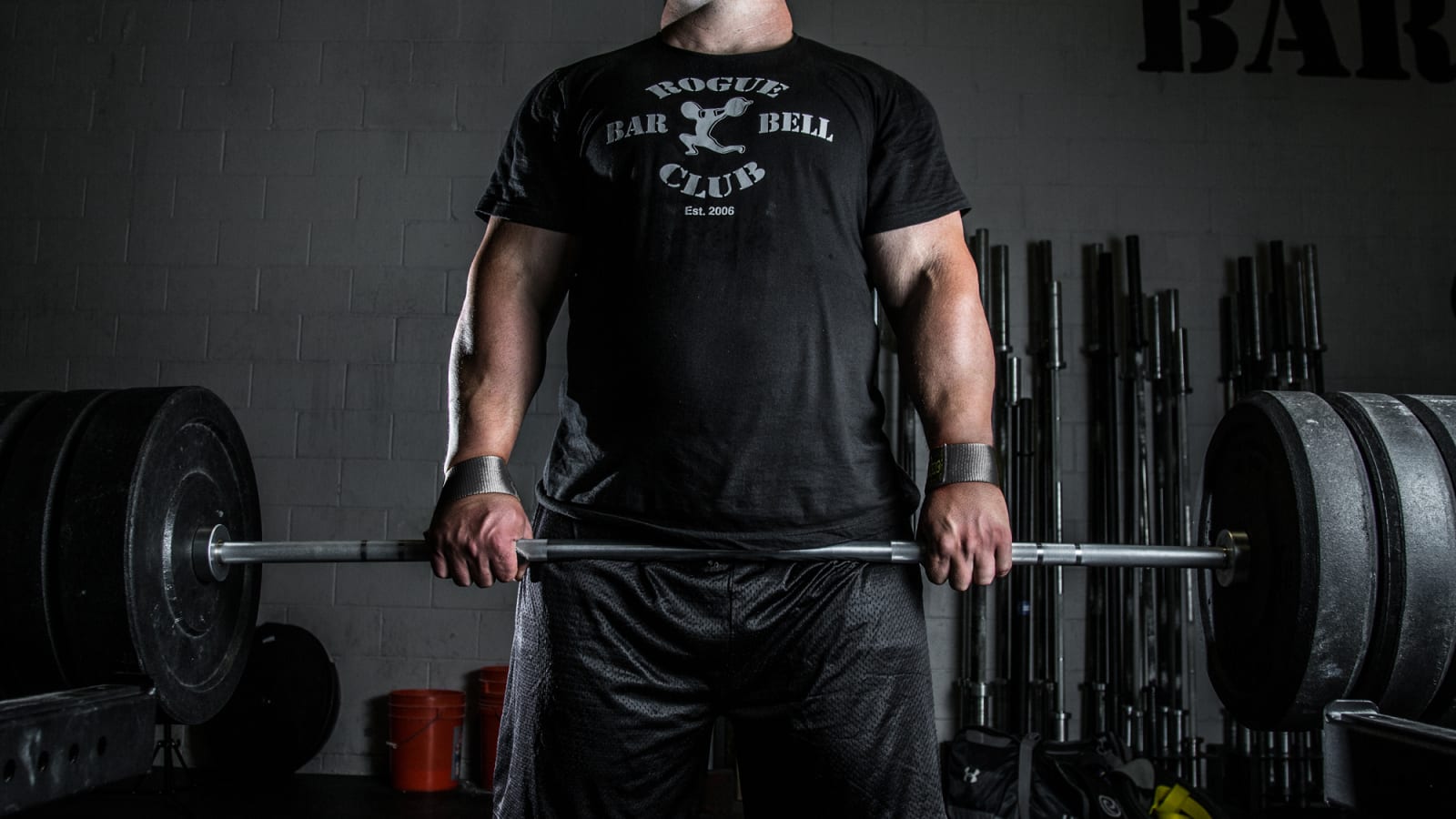 Rogue ab hotsell straps